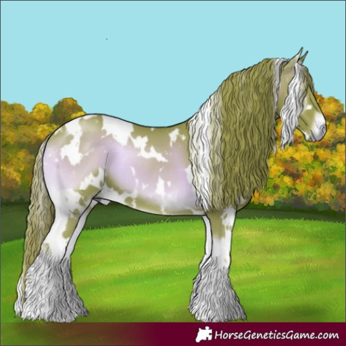 Horse Color:Watercolor White Spotted Red Onyx