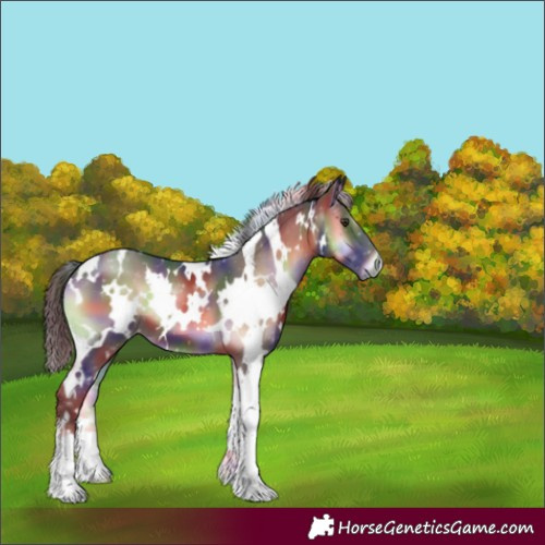 Horse Color:Nacre White Spotted Liver Red Onyx