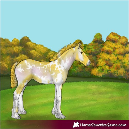Horse Color:Watercolor White Spotted Liver Red Onyx 