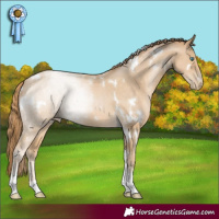 Horse Color:White Spotted Smoky Black Pearl Tobiano Rabicano 