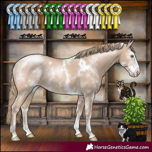 Horse Color:White Spotted Perlino Sabino Rabicano 