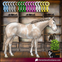 Horse Color:White Spotted Perlino Sabino Rabicano