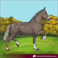 Horse Color:Silver Black 