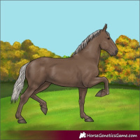 Horse Color:Silver Black