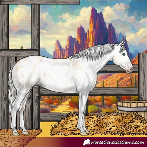 Horse Color:Gray Silver Amber Cream Champagne Roan Dun Splash Tobiano Frame Appaloosa Rabicano 