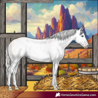 Horse Color:Gray Silver Amber Cream Champagne Roan Dun Splash Tobiano Frame Appaloosa Rabicano