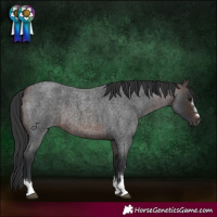Horse Color:Bay Roan