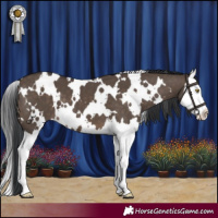 Horse Color:White Spotted Brown Dun Splash