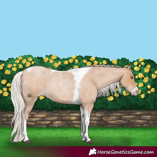 Horse Color:Silver Blue Roan Pearl Tobiano Frame
