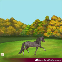 Horse Color:Liver Chestnut Tobiano Varnish 