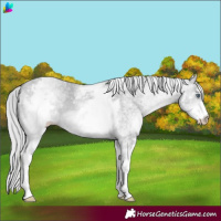 Horse Color:White Spotted Silver Bay Chinchilla Dun