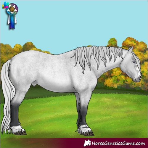 Horse Color:Silver Bay Chinchilla Roan 
