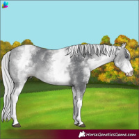 Horse Color:White Spotted Silver Bay Chinchilla 