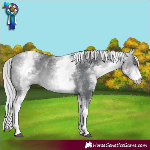 Horse Color:White Spotted Silver Bay Chinchilla 