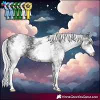 Horse Color:White Spotted Silver Black Chinchilla
