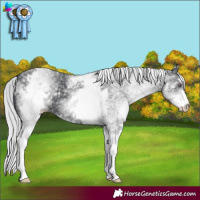 Horse Color:White Spotted Silver Black Chinchilla 