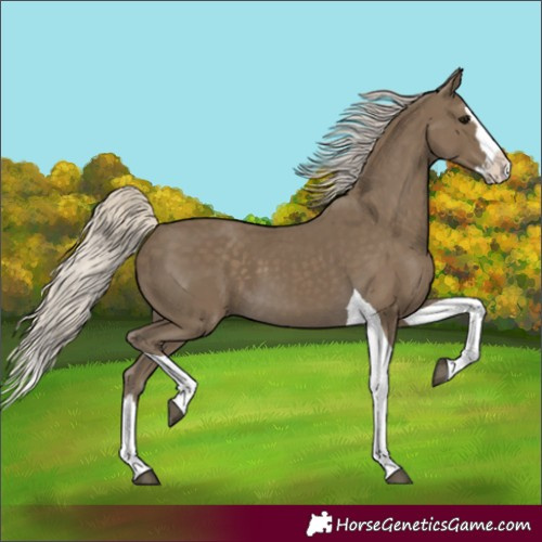 Horse Color:Silver Smoky Black Splash Tobiano 