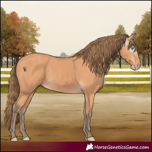 Horse Color:Gray Perlino