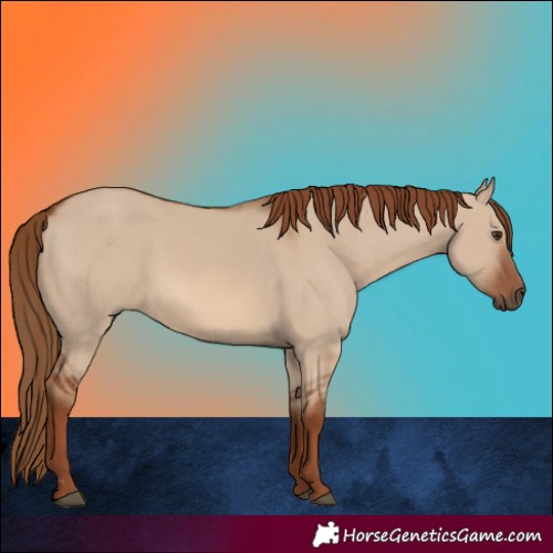 Horse Color:Red Dun 