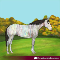 Horse Color:Bay Ice