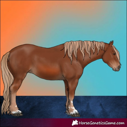 Horse Color:Chestnut 