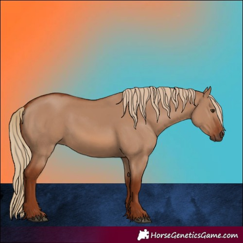 Horse Color:Red Dun 