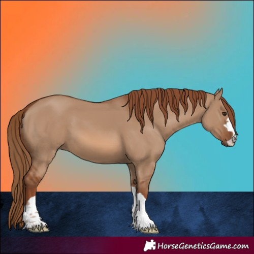 Horse Color:Red Dun 