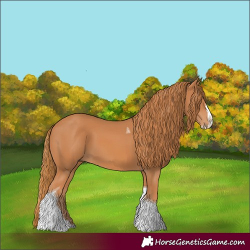 Horse Color:Unknown 