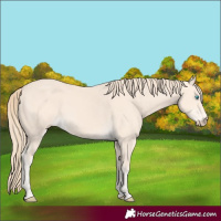 Horse Color:Perlino 