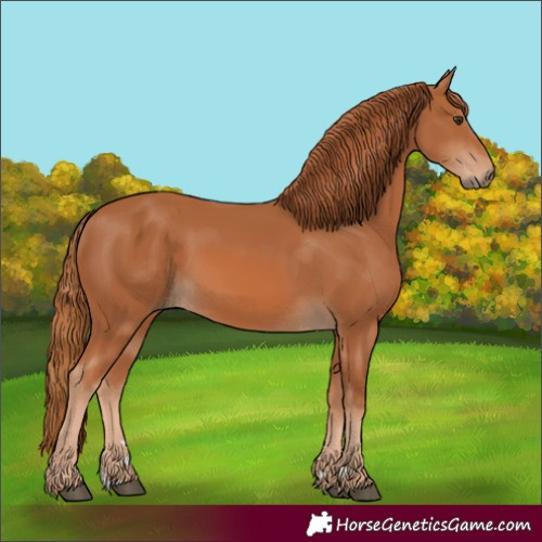 Horse Color:Chestnut 