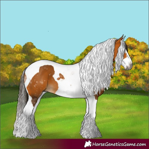 Horse Color:Gray Buckskin Splash Tobiano 