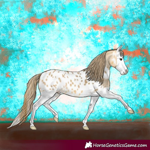 Horse Color:Buckskin Dun Splash Appaloosa 