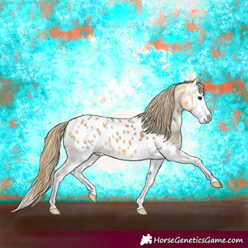 Horse Color:Buckskin Dun Splash Near Leopard 
