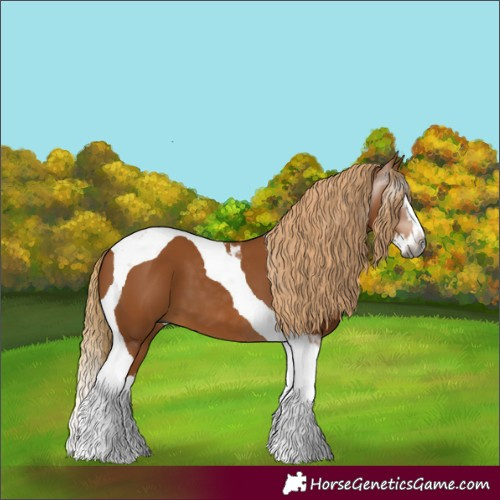 Horse Color:Gray Chestnut Splash Tobiano 