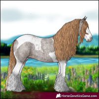 Horse Color:Gray Red Roan Splash Tobiano