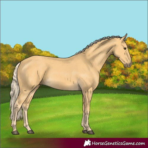Horse Color:Palomino