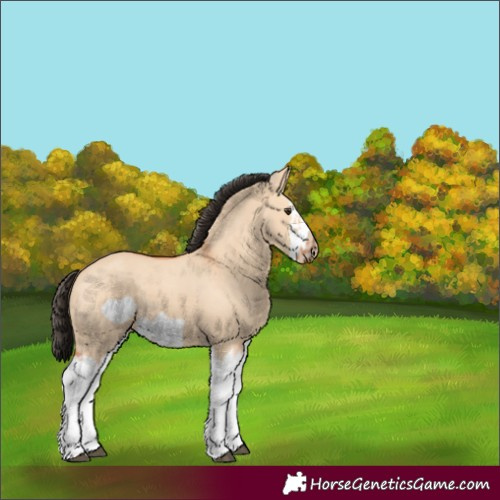 Horse Color:Bay Dun Splash Frame 