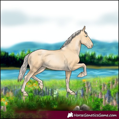 Horse Color:Palomino Pearl 