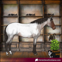 Horse Color:Liver Red Roan Snowcap