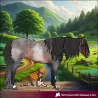 Horse Color:Brown Roan