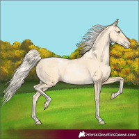 Horse Color:Palomino Pearl 