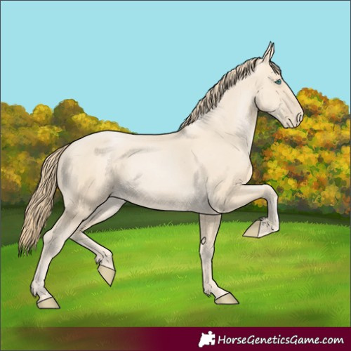 Horse Color:Smoky Black Pearl 