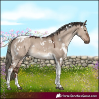 Horse Color:White Spotted Liver Red Dun Mushroom Tobiano