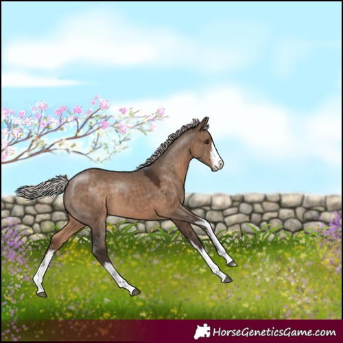 Horse Color:White Spotted Silver Brown Dun 