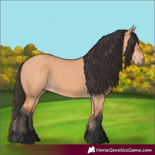 Horse Color:Unknown 