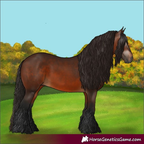 Horse Color:Unknown 