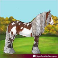 Horse Color:White Spotted Silver Brown Frame 
