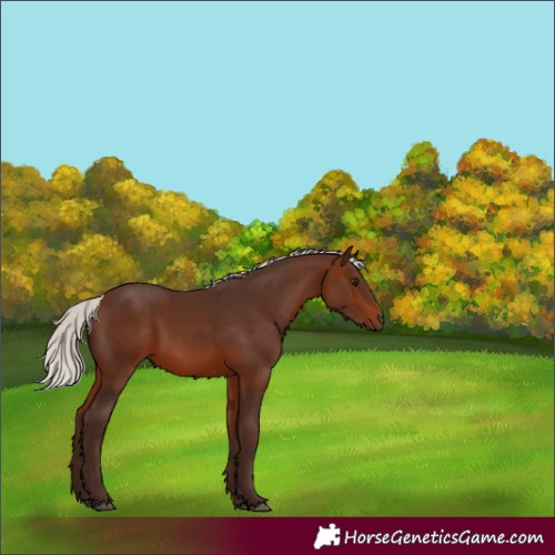 Horse Color:White Spotted Silver Brown 