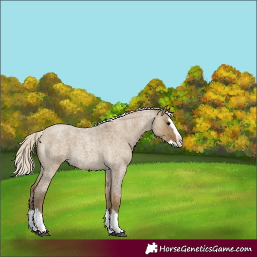 Horse Color:Silver Smoky Grullo Roan Splash 