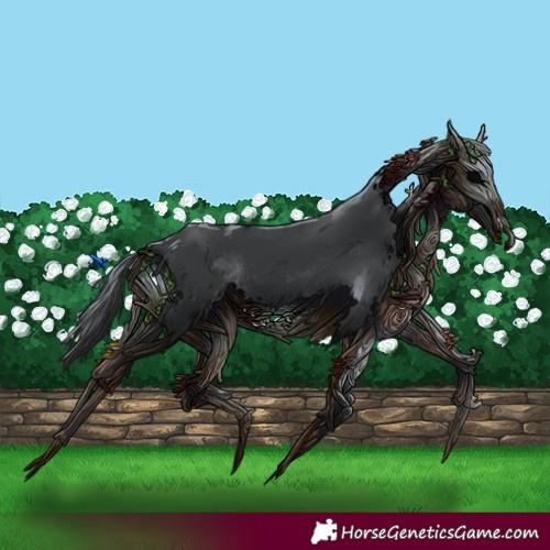 Horse Color:Black Rabicano 